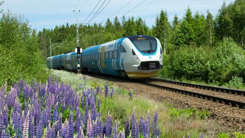 High-speed train at railway with flowers besides the tracks