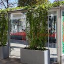 Green-roofed shelter in Vienna, source: Wiener Linien