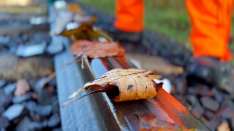 Leaves on railway track