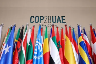 Flags of the countries joining the UN climate conference COP28 in Dubai