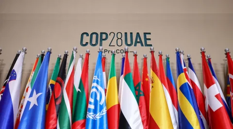Flags of the countries joining the UN climate conference COP28 in Dubai