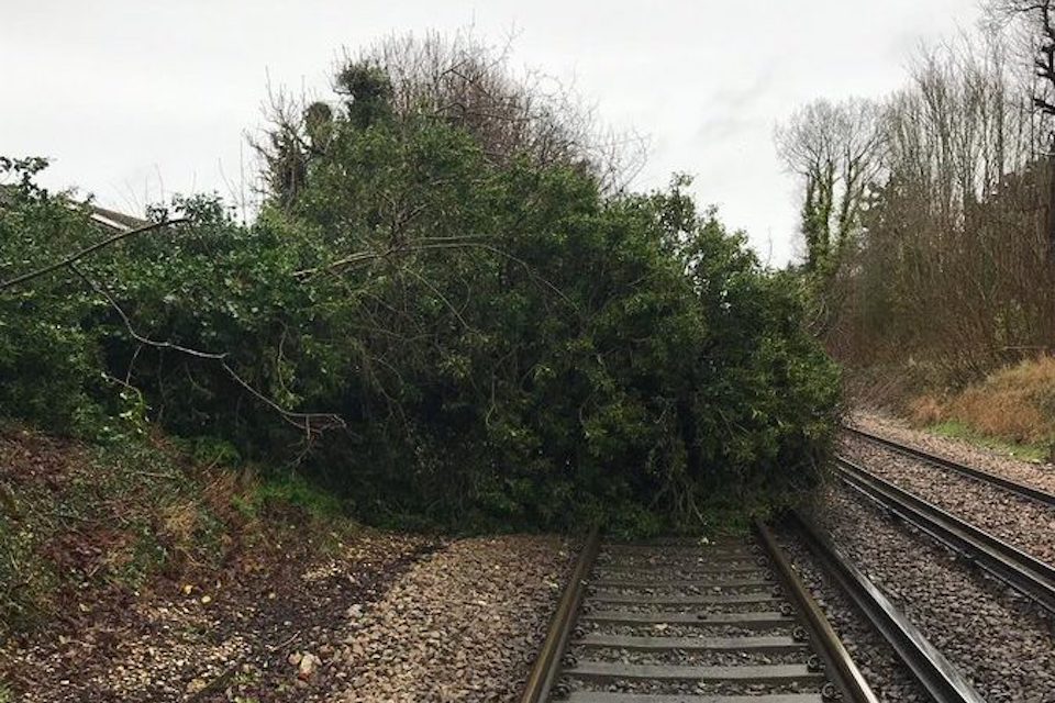 Tree blown over blocking railway line